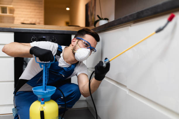 Best Rat Extermination Near Me  in Princeton Meadows, NJ