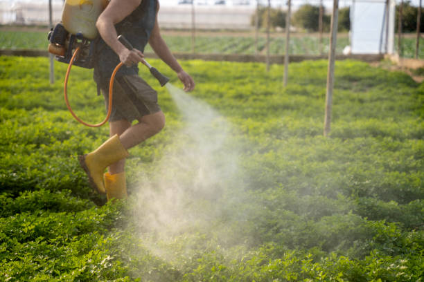 Best Best Pest Control Companies  in Princeton Meadows, NJ