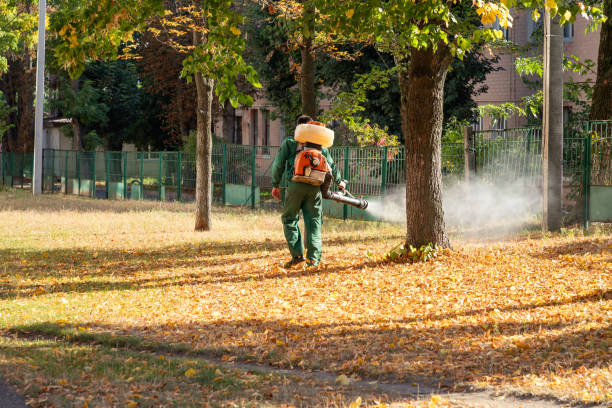 Best Best Pest Control Companies  in Princeton Meadows, NJ