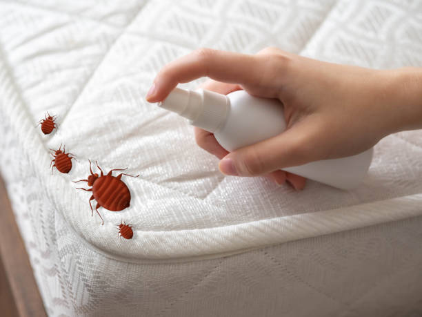 Best Pest Prevention Services  in Princeton Meadows, NJ