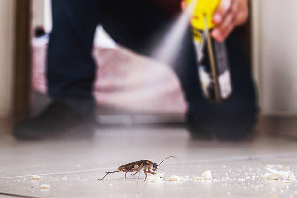 Best Cockroach Control Services  in Princeton Meadows, NJ
