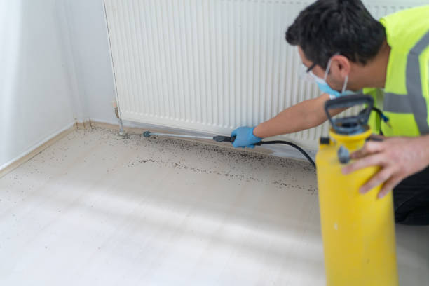 Trusted Princeton Meadows, NJ Pest Control Experts